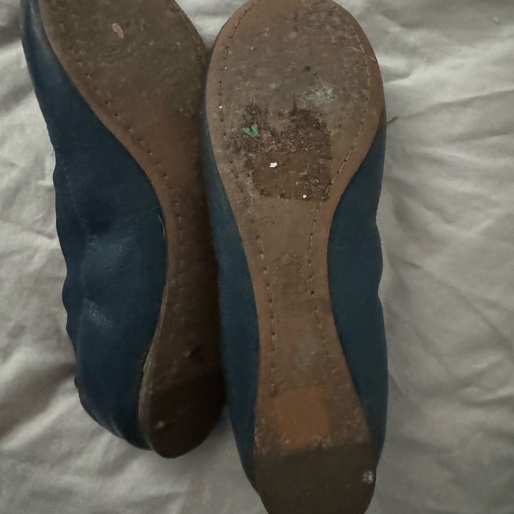Elegant Blue Women's Shoes Tory birch
